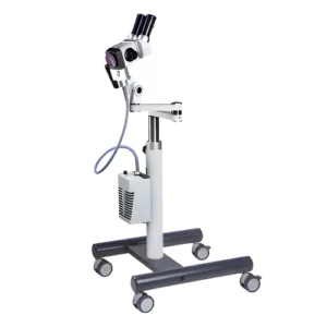 Estandar-1