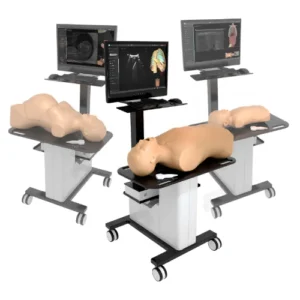 Ultrasound Mentor