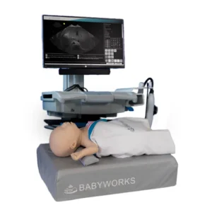 Simulador Babyworks